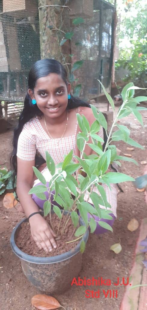 World Environment Day 2021